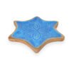 Star Fish Shape Platter Enamelled