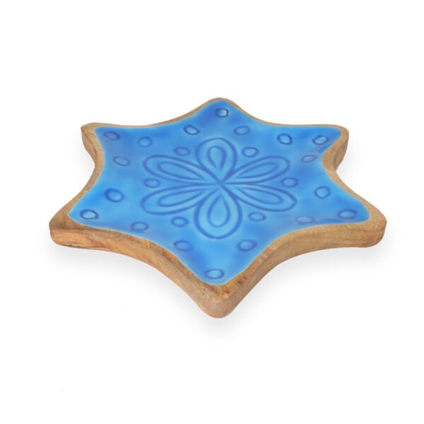 NT-NSP-097_1 Star Fish Shape Platter Enamelled