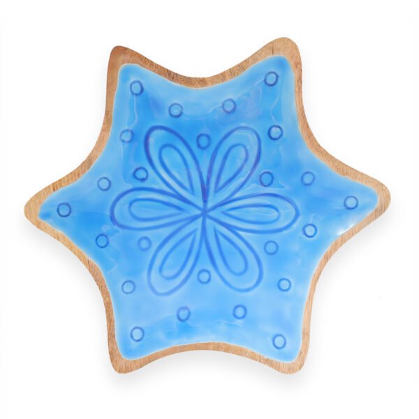 NT-NSP-098_1 Star Fish Shape Platter Enamelled
