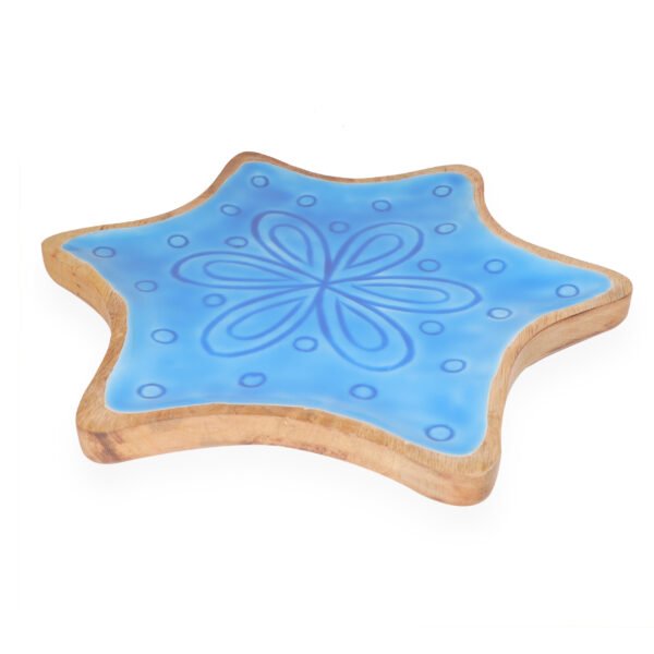 NT-NSP-098_2 Star Fish Shape Platter Enamelled