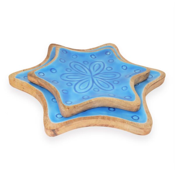 NT-NSP-098_3 Star Fish Shape Platter Enamelled