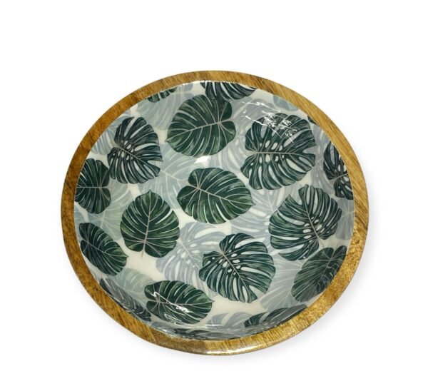PHOTO-2024-03-20-20-19-08 (19) Monstera decal Bowl