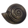 Shell knob