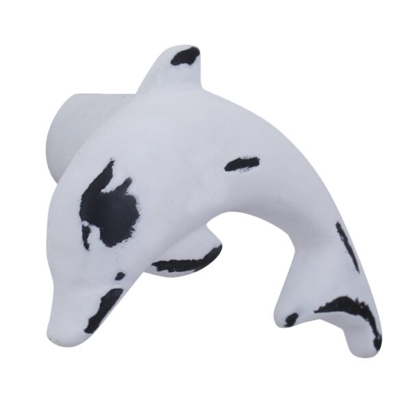 Knob Dolphin