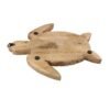 Turtle shape platter